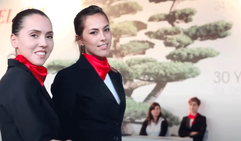 OKUMA & SODICK celada