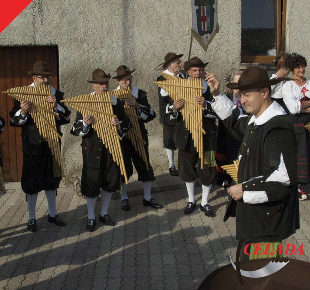 bej di erba